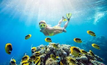 diving